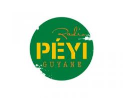 Logo design # 402234 for Radio Péyi Logotype contest
