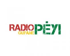 Logo # 402235 voor Radio Péyi Logotype wedstrijd