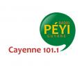 Logo # 402236 voor Radio Péyi Logotype wedstrijd