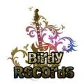 Logo design # 215790 for Record Label Birdy Records needs Logo contest