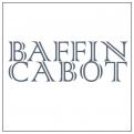 Logo # 173707 voor Wij zoeken een internationale logo voor het merk Baffin Cabot een exclusief en luxe schoenen en kleding merk dat we gaan lanceren  wedstrijd