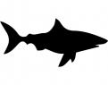 Logo design # 602111 for silhouette drawing of a whale shark contest