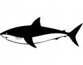 Logo design # 602112 for silhouette drawing of a whale shark contest