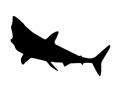 Logo design # 602114 for silhouette drawing of a whale shark contest