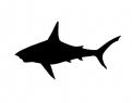 Logo design # 602098 for silhouette drawing of a whale shark contest