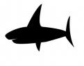 Logo design # 602099 for silhouette drawing of a whale shark contest
