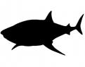 Logo design # 602108 for silhouette drawing of a whale shark contest