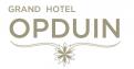 Logo # 214155 voor Desperately seeking: Beeldmerk voor Grand Hotel Opduin wedstrijd