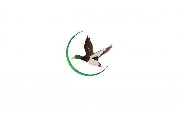300x300