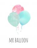 Logo design # 773890 for Mr balloon logo  contest