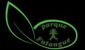 Logo design # 229060 for Design a logo for a unique nature park in Chilean Patagonia. The name is Parque Futangue contest