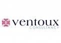 Logo # 173934 voor logo Ventoux Consultancy wedstrijd