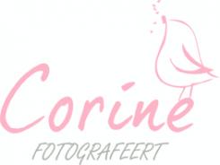 Logo & Huisstijl # 148324 voor Logo en huisstijl voor newborn- en kinderfotograaf/Logo and house style for newborn and children photographer wedstrijd