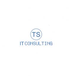 Logo & Corp. Design  # 295687 für Logo für IT-Consulting Firma Wettbewerb