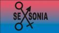 Logo & Corp. Design  # 164710 für seXonia Wettbewerb