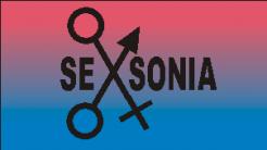 Logo & Corporate design  # 164710 für seXonia Wettbewerb