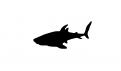 Logo design # 604652 for silhouette drawing of a whale shark contest