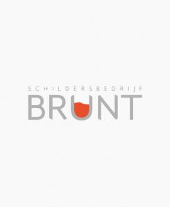 Logo # 870330 voor ontwerp een sprekend en een pakkend logo voor schildersbedrijf Brunt wedstrijd