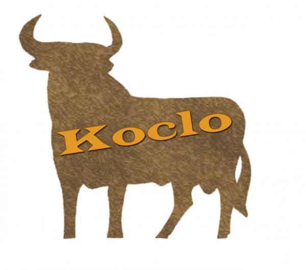 300x300