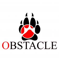300x300