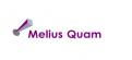 Logo # 103729 voor Melius Quam wedstrijd
