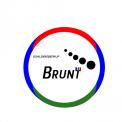 Logo # 870132 voor ontwerp een sprekend en een pakkend logo voor schildersbedrijf Brunt wedstrijd