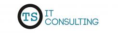 Logo & Corp. Design  # 291035 für Logo für IT-Consulting Firma Wettbewerb