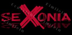Logo & stationery # 170872 for seXonia contest