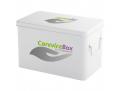 Logo & Corp. Design  # 507243 für Logo für eine Pflegehilfsmittelbox = Carevice und Carevice Box Wettbewerb