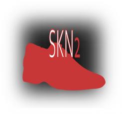 Logo & Huisstijl # 1103663 voor Ontwerp het beeldmerklogo en de huisstijl voor de cosmetische kliniek SKN2 wedstrijd
