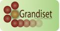Logo & Huisstijl # 6649 voor Grandiset wil gezien worden huistijl en logo  wedstrijd