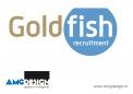 Logo & stationery # 232875 for Goldfish Recruitment seeks housestyle ! contest