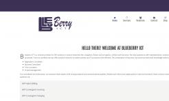 Logo & stationery # 798322 for Blueberry ICT goes for complete redesign (Greenfield) contest