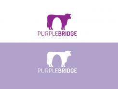 Logo & Huisstijl # 34563 voor Huisstijl en logo ontwerp voor Purple-bridge wedstrijd