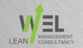 Logo & stationery # 360990 for Wanted: Cool logo and branding for a new small consultancy firm called WEL consulting contest