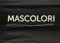 Logo & Huisstijl # 100897 voor Logo en huissrtijl voor extravagant modemerk Mascolori wedstrijd