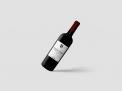 Logo & stationery # 1058967 for Label for a chilled Pinot Nero  Red Wine  from Italy contest