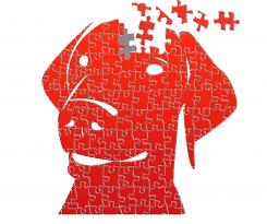 Logo & Huisstijl # 182904 voor honden laten testen  wedstrijd