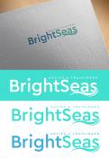 Logo & stationery # 1093003 for Logo   corporate identity for my new started company Brightseas contest