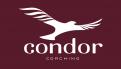 Logo & Huisstijl # 1161804 voor Condor wedstrijd