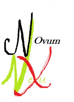 Logo & Huisstijl # 170308 voor Logo en Huisstijl voor Innovatief Advies Bureau Novum NeXu,  wedstrijd