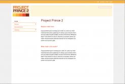 Logo & Huisstijl # 47131 voor Project Prince2.nl wedstrijd