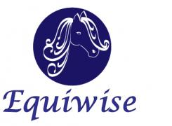 Logo & Huisstijl # 470491 voor Ontwerp een vrouwelijk en toch zakelijk logo en huisstijl met een luxe uitstraling voor een bedrijf dat mensen coacht met behulp van paarden. wedstrijd