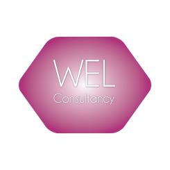 Logo & stationery # 356109 for Wanted: Cool logo and branding for a new small consultancy firm called WEL consulting contest