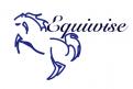 Logo & Huisstijl # 472954 voor Ontwerp een vrouwelijk en toch zakelijk logo en huisstijl met een luxe uitstraling voor een bedrijf dat mensen coacht met behulp van paarden. wedstrijd
