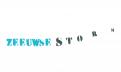 Logo & Huisstijl # 336153 voor Zeeuwse Storm op zoek naar fris, eigentijds en tikkeltje stoer logo wedstrijd