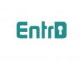 Logo & Huisstijl # 324661 voor EntrD heeft een naam, nu nog een logo en huisstijl! wedstrijd