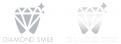 Logo & Huisstijl # 956171 voor Diamond Smile   logo en huisstijl gevraagd voor een tandenbleek studio in het buitenland wedstrijd