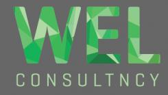 Logo & stationery # 360876 for Wanted: Cool logo and branding for a new small consultancy firm called WEL consulting contest