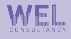 Logo & stationery # 360877 for Wanted: Cool logo and branding for a new small consultancy firm called WEL consulting contest